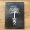 The Absent Silver King - The Absent Silver King - Image 2