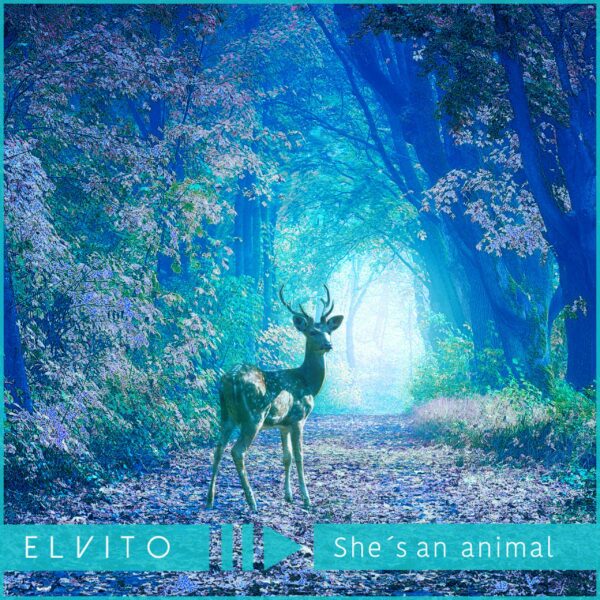 She's an Animal - Elvito