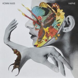 Haphe - Konni Kass