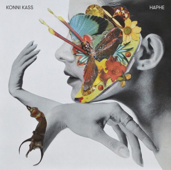 Haphe - Konni Kass