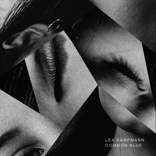 Common Blue - Lea Kampmann