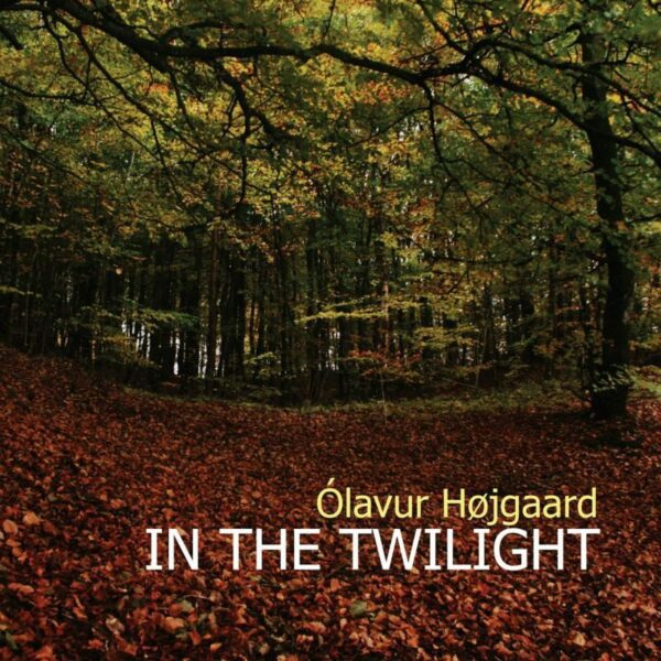 In the Twilight - Ólavur Højgaard
