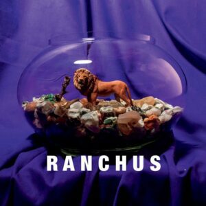 Feeling Like A Caged Lion Pacing Behind One Way Glass - Ranchus