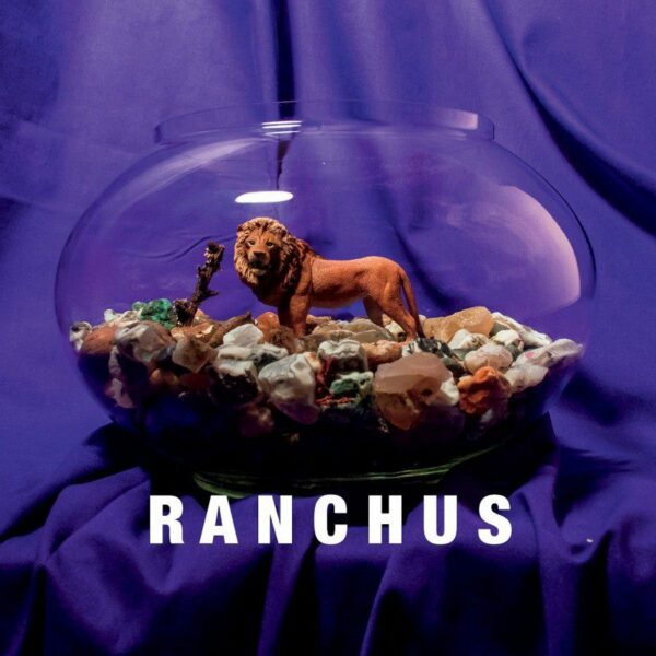 Feeling Like A Caged Lion Pacing Behind One Way Glass - Ranchus
