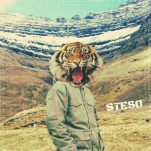 Blandað - Steso