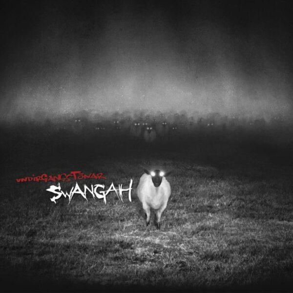 Undirgangstónar - Swangah
