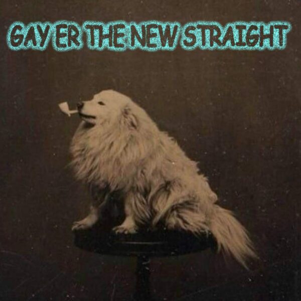 Gay er the New Straight - Silvurdrongur