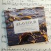 Ælaveður - Pauli í Sandagerði & Mattias Kapnas - Image 3
