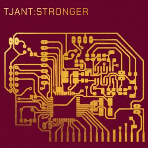 Stronger - Tjant