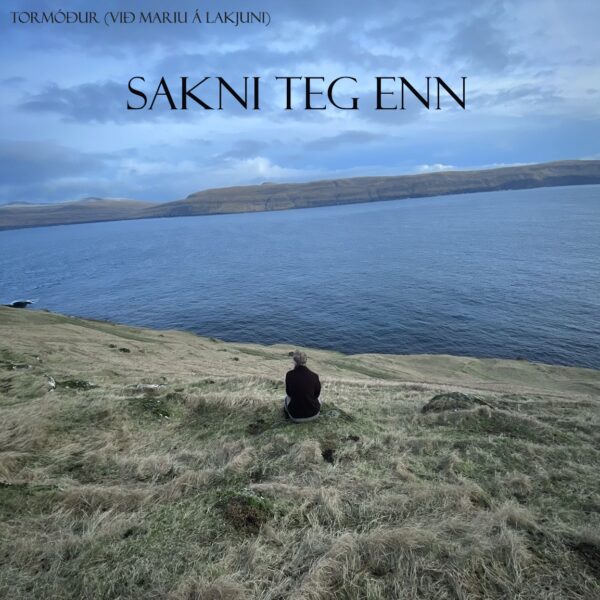 Sakni teg enn - Tormodur