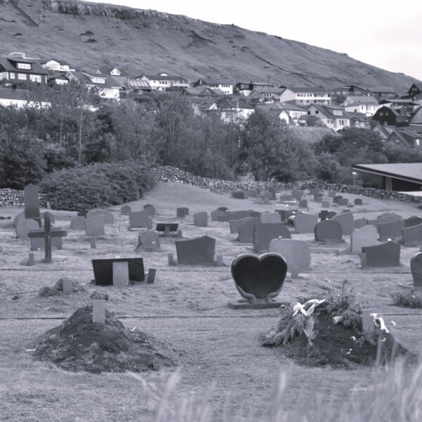 Saknur - Holgar
